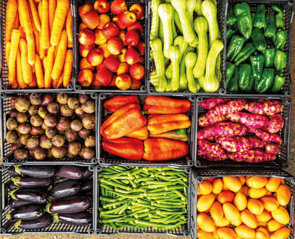 A Boa Terra :: A Boa Terra Essência Orgânica •  Desde 1981